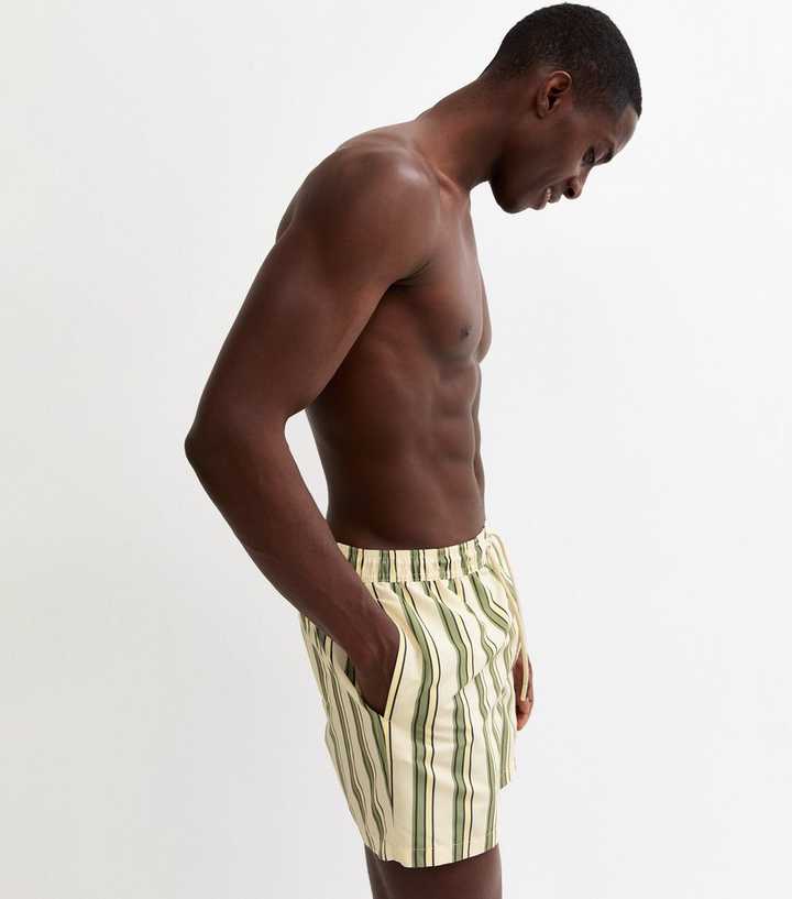 Green Regular Striped Drawstring Swim Shorts