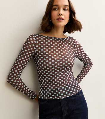 Brown Polka Dot Long Sleeve Slash Neck Sheer Top
