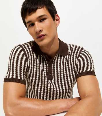 Brown Regular Stripe Texture Knit Button Polo Top