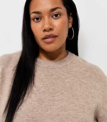 Curves Light Mink Midweight Knit Crew Neck Jumper