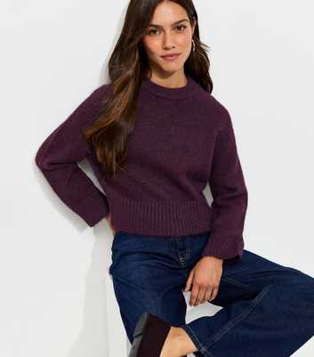 Petite Bright Purple Raglan Sleeve Knitted Jumper with Wool