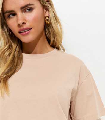Petite Mink Boxy Fit T-Shirt