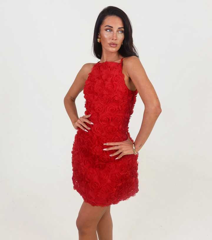 AX Paris Bright Red Rose Applique Racer Mini Dress