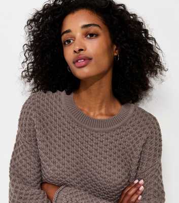 Mink Chunky Knit Crew Neck Jumper