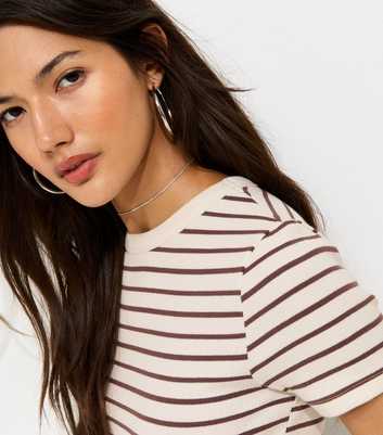 Brown Striped Cotton Rich T-Shirt