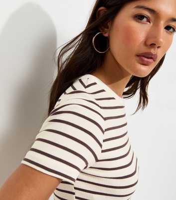 Brown Cotton Rich Striped Crew Neck T-Shirt