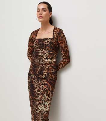 Brown Mesh Animal Print Square Neck Midi Dress