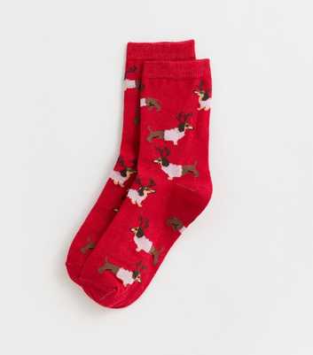 Red Christmas Sausage Dog Socks