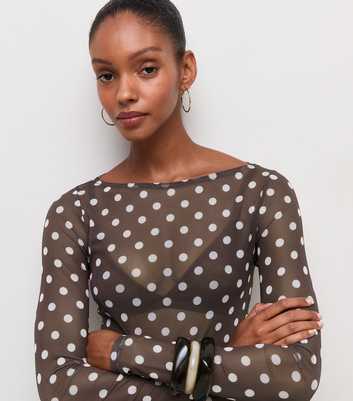 Brown Mesh Polka Dot Long Sleeve Top